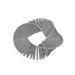 ./Prismatic%20Ring_html.png